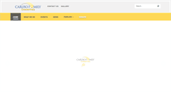 Desktop Screenshot of carusofamilycharities.org